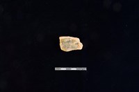 陶片藏品圖，第2張